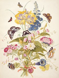 PD.912-1973 Stilleben av blommor inklusive en papegojtulpan, larksporre, sweet william, gentiana och cyklamen, 1769